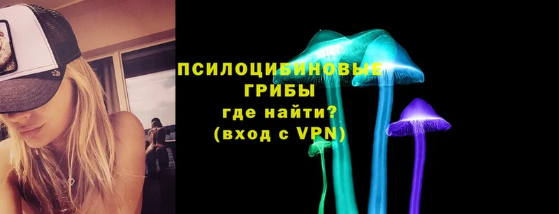 darknet формула  наркотики  Нестеров  Псилоцибиновые грибы мухоморы 